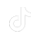 icon tiktok